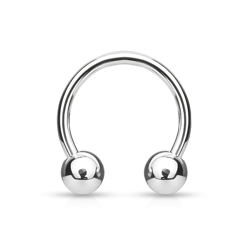 Titanium hot sale horseshoe earrings