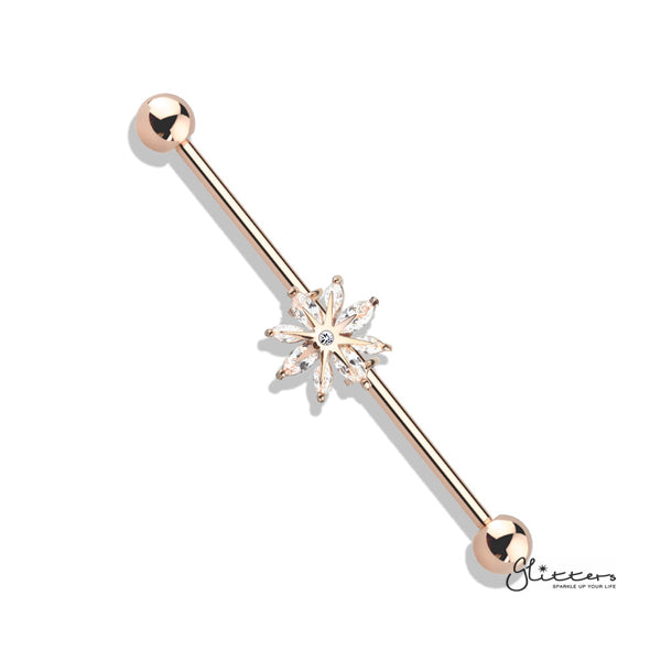 316L Surgical Steel Industrial Barbells with Marquise CZ Snowflake-Body Piercing Jewellery, Cubic Zirconia, Industrial Barbell-IB0003-BI83-RG-Glitters