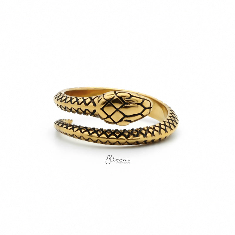 Stainless Steel Snake Ring - Gold-Jewellery, Men's Jewellery, Men's Rings, Rings, Stainless Steel, Stainless Steel Rings, Women's Rings-SR0285-1_800-Glitters