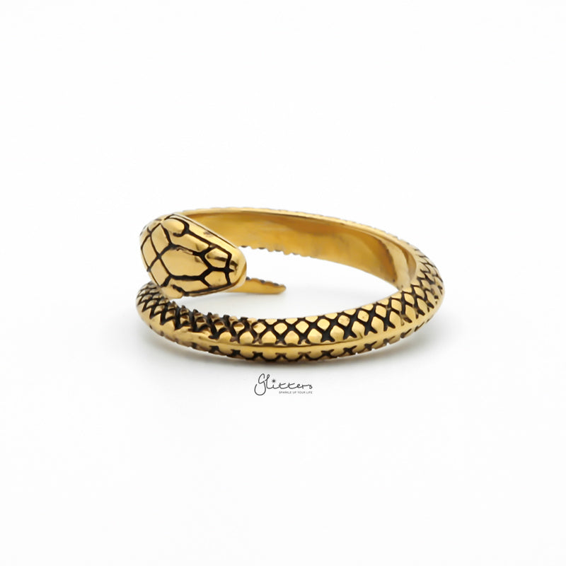 Stainless Steel Snake Ring - Gold-Jewellery, Men's Jewellery, Men's Rings, Rings, Stainless Steel, Stainless Steel Rings, Women's Rings-SR0285-2_800-Glitters