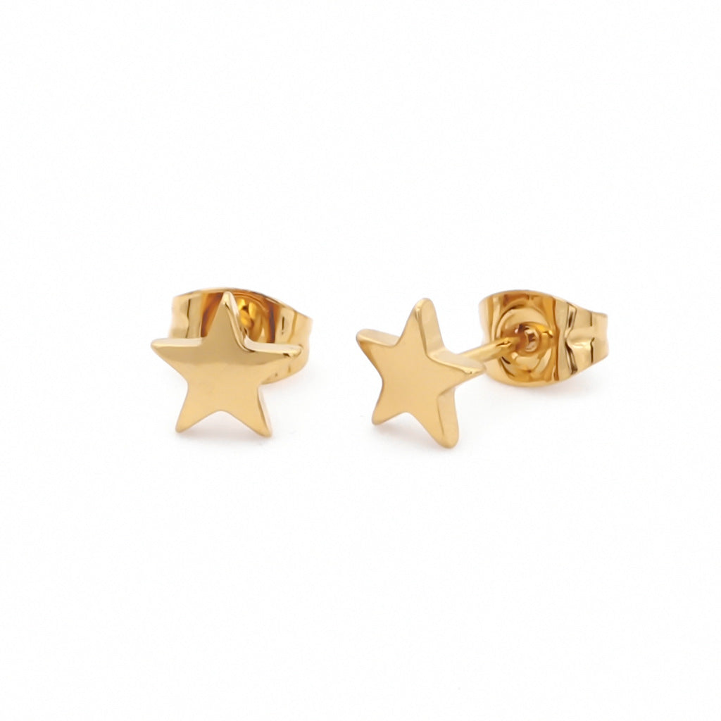 Stainless Steel Star Stud Earrings-earrings, Jewellery, Men's Earrings, Men's Jewellery, Stainless Steel, Stud Earrings, Women's Earrings-er1562-g1_1000-Glitters
